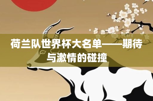 荷兰队世界杯大名单——期待与激情的碰撞