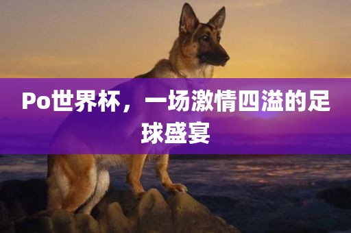 Po世界杯，一场激情四溢的足球盛宴眉山市正发家政服务有限公司