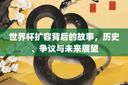 世界杯扩容背后的故事眉山市正发家政服务有限公司，历史、争议与未来展望