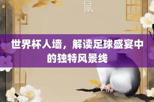 足球盛宴 第6页