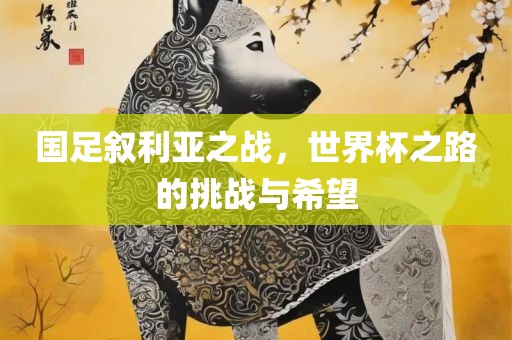 国足叙利亚之战，世界杯之路的挑战与希望眉山市正发家政服务有限公司