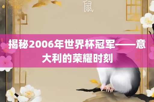 揭秘20眉山市正发家政服务有限公司06年世界杯冠军——意大利的荣耀时刻