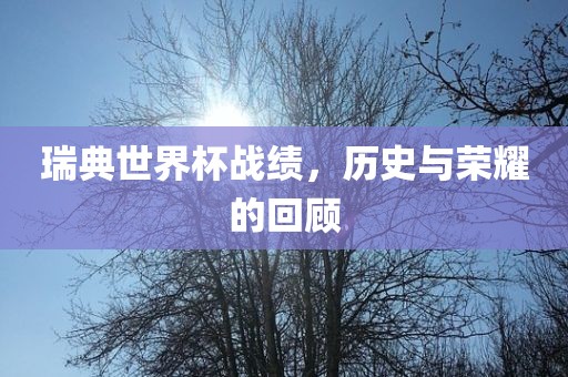 瑞典世界杯战绩，历史与荣耀的回顾眉山市正发家政服务有限公司