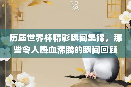 历届世界杯精彩瞬间集锦，那些令人热血沸腾的瞬间回顾