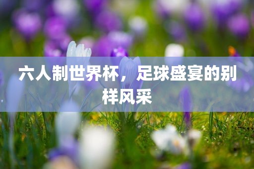 眉山市正发家政服务有限公司六人制世界杯，足球盛宴的别样风采