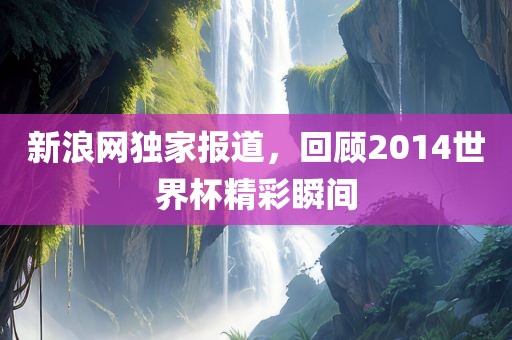 新浪网独家报道，回顾2014世界杯精彩瞬间