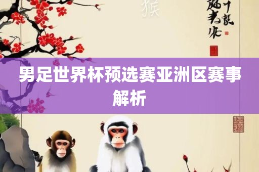 男足世界杯预选赛亚洲区赛事解析