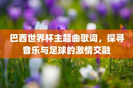 巴西世界杯主题曲歌词，探寻音乐与足球的激情交融