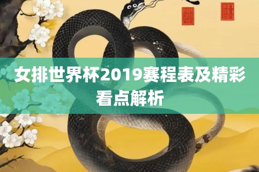 女排世界杯2019赛程表及精彩看点解析眉山市正发家政服务有限公司