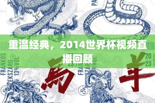 重温经典，2014世界杯视频直播回顾
