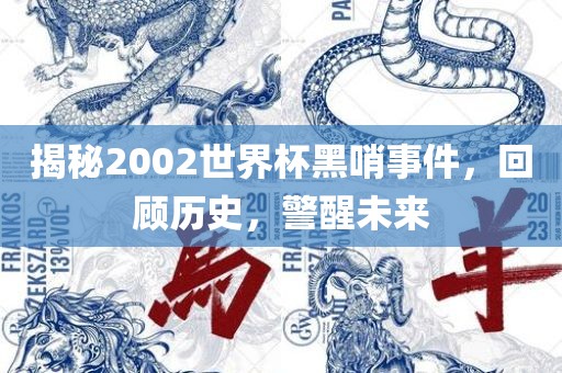 揭秘2002世界杯黑哨事件，回顾历史，警醒未来眉山市正发家政服务有限公司