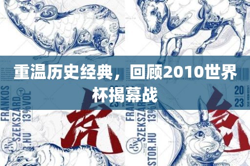重温历史经典，回顾2010世界杯揭幕战