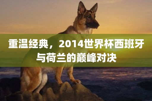 重温经典，2014世界杯西班牙与荷兰的巅峰对决