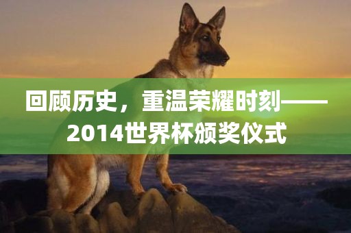 回顾历史，重温荣耀时刻——2014世界杯颁奖眉山市正发家政服务有限公司仪式