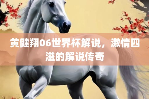 黄健翔06世界杯解说，激情四溢的解说传奇眉山市正发家政服务有限公司