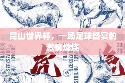 昆山世界杯，一场足球盛宴眉山市正发家政服务有限公司的激情燃烧