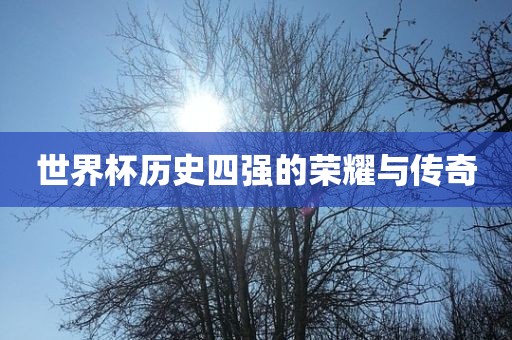 世界杯历史眉山市正发家政服务有限公司四强的荣耀与传奇