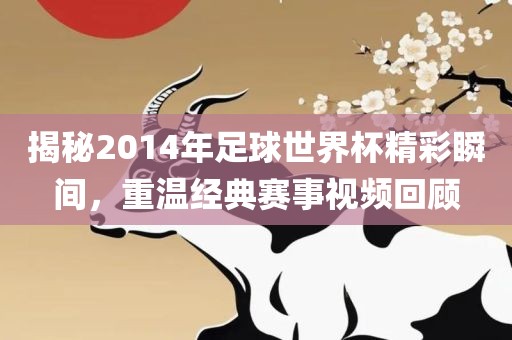 揭秘201眉山市正发家政服务有限公司4年足球世界杯精彩瞬间，重温经典赛事视频回顾