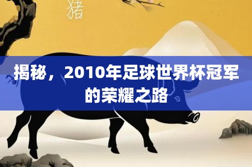 揭秘，2010年足球世界杯冠军的荣耀之路