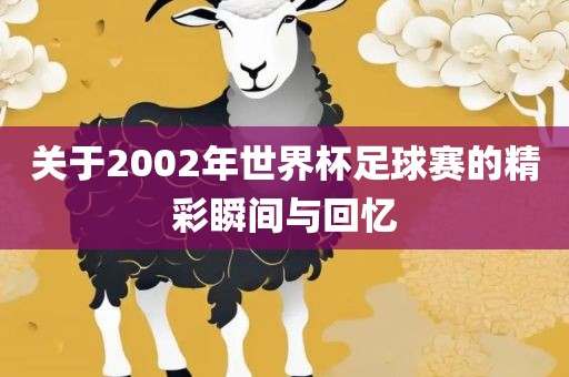 关于2002年世界杯足球赛眉山市正发家政服务有限公司的精彩瞬间与回忆