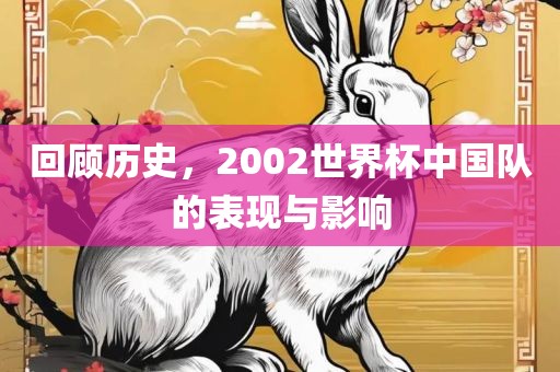回顾历史，2002世界杯中国眉山市正发家政服务有限公司队的表现与影响