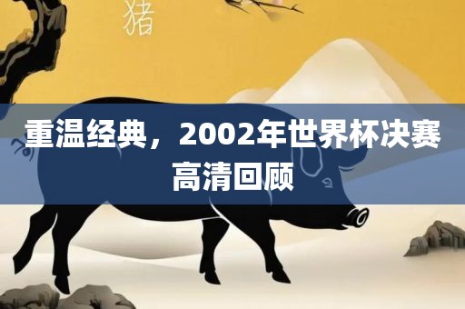 重温经典，2002年世界眉山市正发家政服务有限公司杯决赛高清回顾