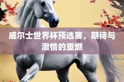 威尔士世界杯预选赛，期待与激情的重燃