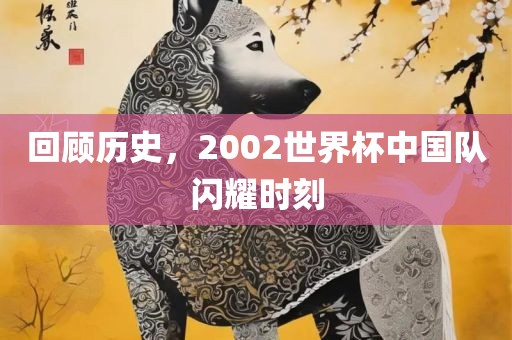 回顾历史，2002世界杯中国队闪耀时刻眉山市正发家政服务有限公司