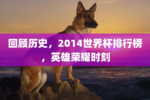 回顾历史，2014世界杯排行榜，英雄荣耀时刻眉山市正发家政服务有限公司