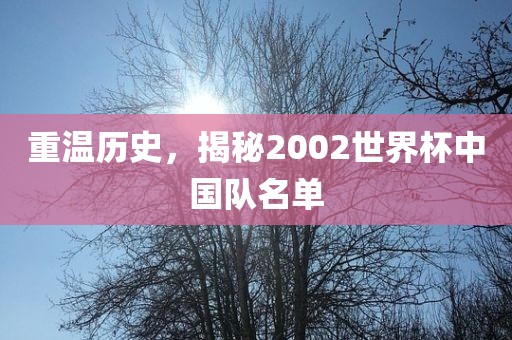 重温历史，揭秘2002世界杯中国队名单