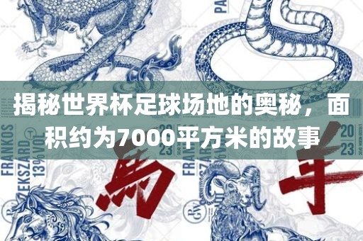 揭秘世界眉山市正发家政服务有限公司杯足球场地的奥秘，面积约为7000平方米的故事