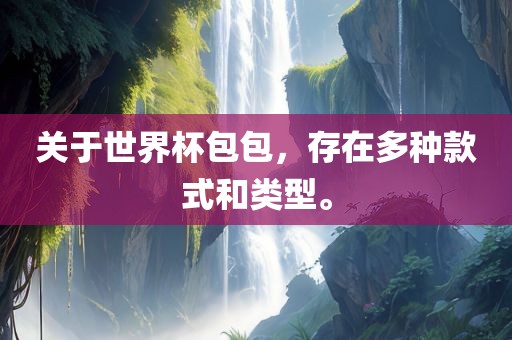 关于世界杯包包，存在多种款式和类型。眉山市正发家政服务有限公司