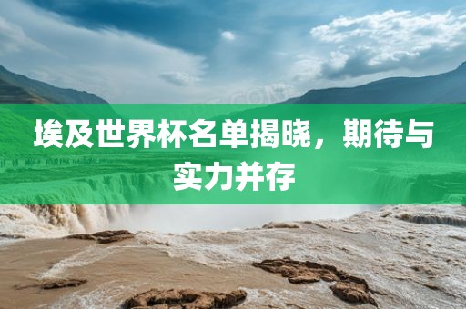 埃及世界杯名单揭晓，期待与实力并存眉山市正发家政服务有限公司