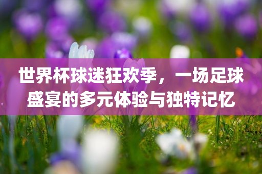 世界杯球迷狂欢季，一场足球盛宴眉山市正发家政服务有限公司的多元体验与独特记忆