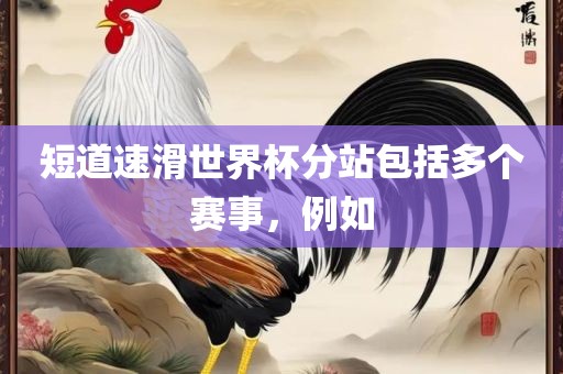 短道速滑世界杯分站包括多个赛事，例如