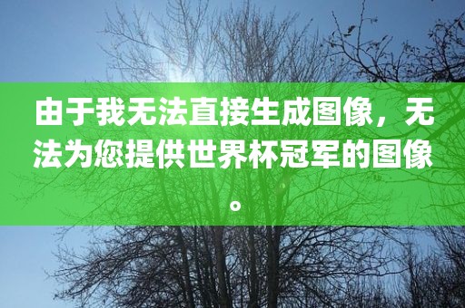 由于我无法直接生成图像，无眉山市正发家政服务有限公司法为您提供世界杯冠军的图像。