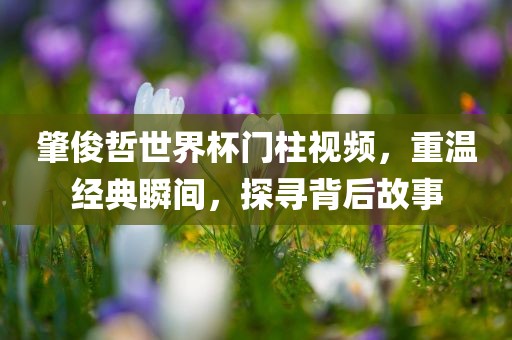 肇俊哲世界杯门柱视频，重温经典瞬间，探寻背后故事