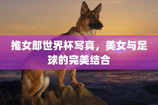 推女郎世界杯写真，美女与足球的完美结合眉山市正发家政服务有限公司