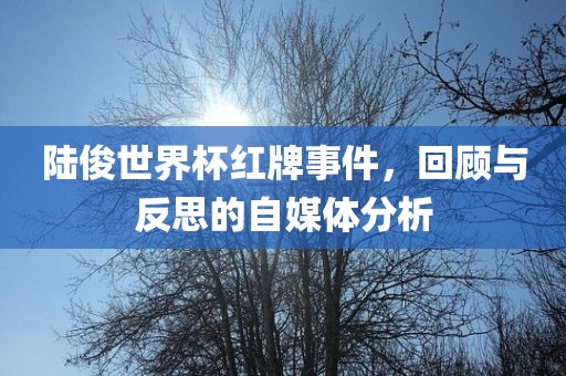 陆俊世界杯红牌事件，回顾与反思的自媒体分析