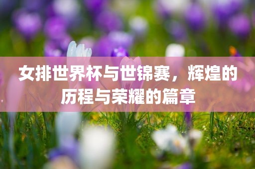 女排世界杯与世锦赛，辉眉山市正发家政服务有限公司煌的历程与荣耀的篇章