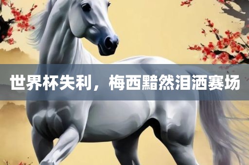 世界杯失利，梅西黯然泪洒赛场