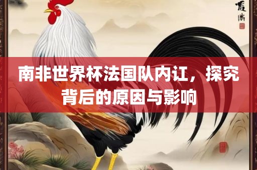 南非世界杯法国队内讧，探究背后的原因与影响