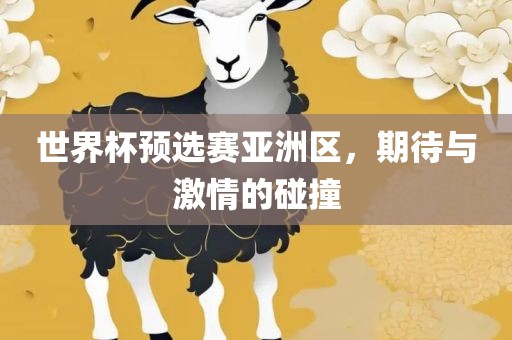 世界杯预选赛亚洲区，期待与激情的碰撞
