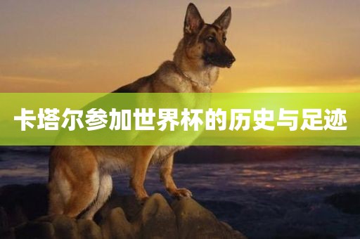 卡塔尔参加世界杯的历史与足迹眉山市正发家政服务有限公司