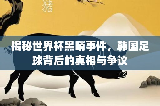 揭秘世界杯黑哨事件，韩国足球背后的真相与争议眉山市正发家政服务有限公司