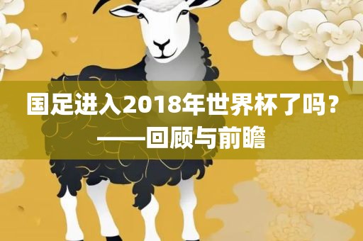 国足进入2018年世界杯了吗？——回顾与前瞻