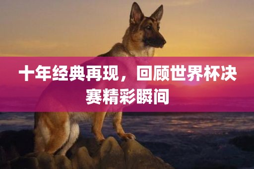 十年经典再现，回顾世界杯决赛精彩瞬间