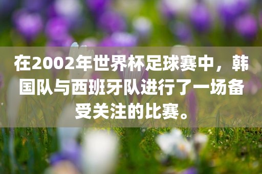 在2002年世界杯足球赛中，韩国队与西班牙队进行了一场备受关注的比赛。