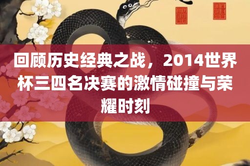 回顾历史经典之战，2014世界杯三四名决赛的激情碰撞与荣耀时刻