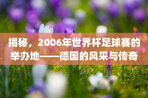 揭秘，2006年世界杯足球赛的举办地——德国的风采与传奇眉山市正发家政服务有限公司